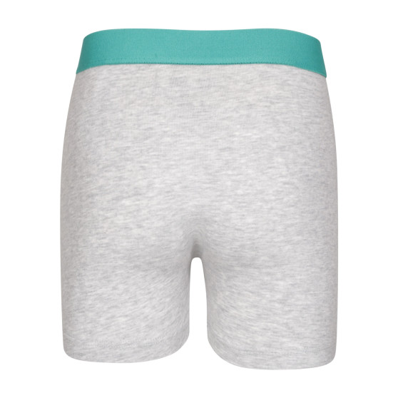 2PACK boxershorts för pojkar Puma multicolour (701225791 001)