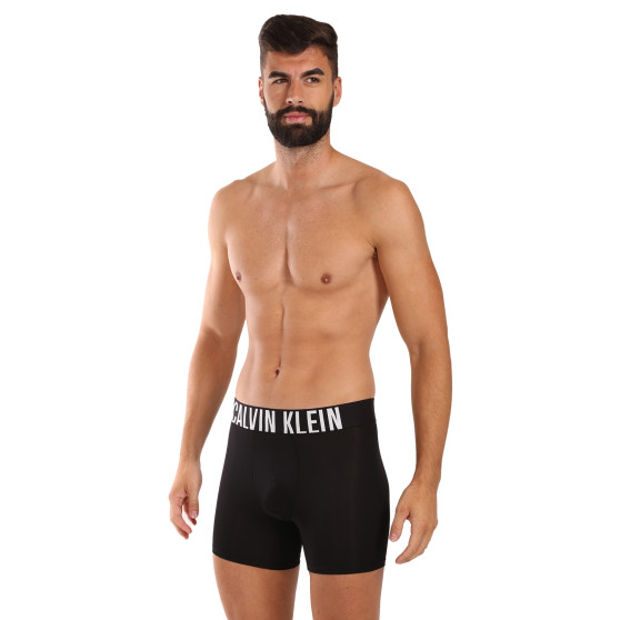 3PACK Boxershorts för herrar Calvin Klein svart (NB3612A-Q1L)