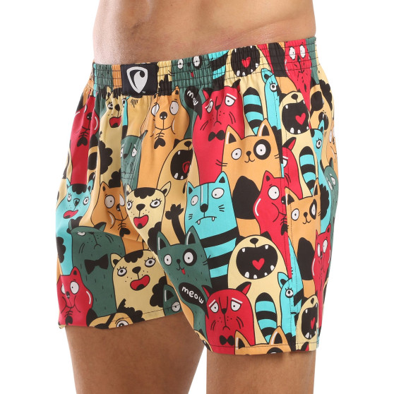 Represent Herrshorts exklusiva Ali Cat Fans (R4M-BOX-0606)