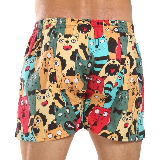 Represent Herrshorts exklusiva Ali Cat Fans (R4M-BOX-0606)