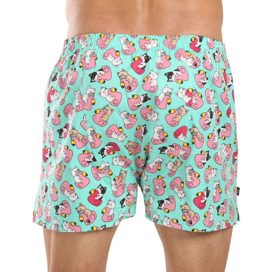 Represent Herr Shorts exklusiv Ali Bulldog Baddräkt (R4M-BOX-0611)