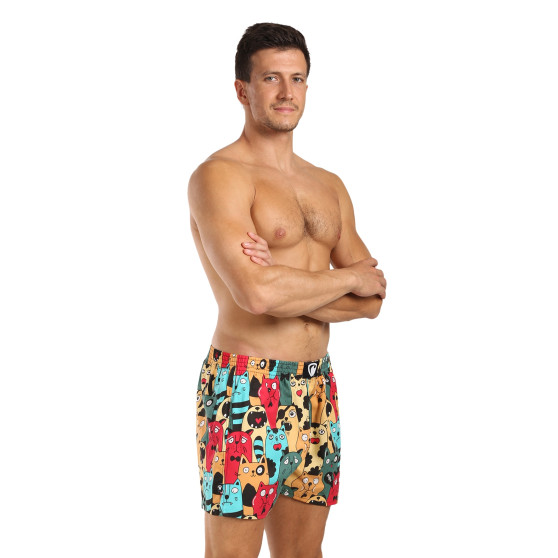 Represent Herrshorts exklusiva Ali Cat Fans (R4M-BOX-0606)