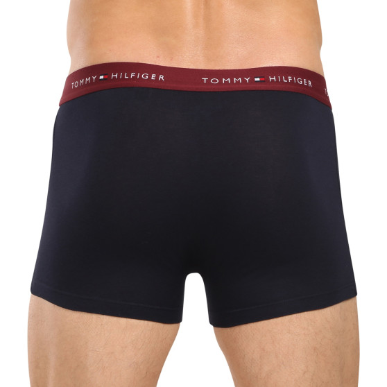 3PACK Boxershorts för herrar Tommy Hilfiger mörkblå (UM0UM02763 05K)