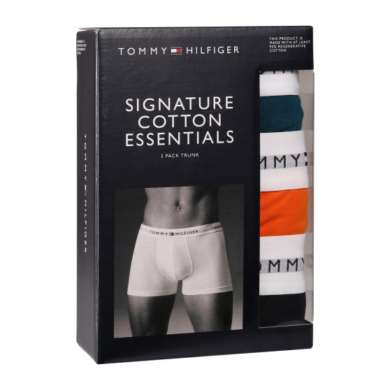 3PACK Boxershorts för herrar Tommy Hilfiger multicolour (UM0UM02761 0VH)