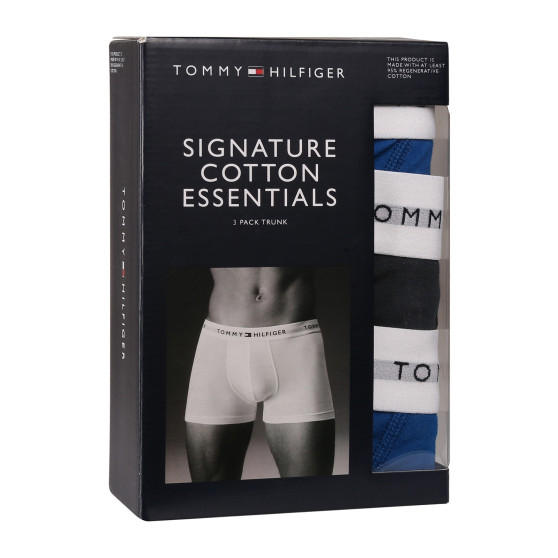 3PACK Boxershorts för herrar Tommy Hilfiger multicolour (UM0UM02768 0UG)