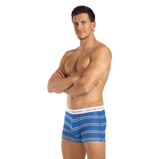 3PACK Boxershorts för herrar Tommy Hilfiger multicolour (UM0UM02768 0UG)