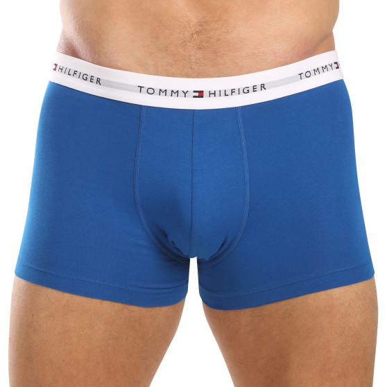 3PACK Boxershorts för herrar Tommy Hilfiger multicolour (UM0UM02768 0UG)