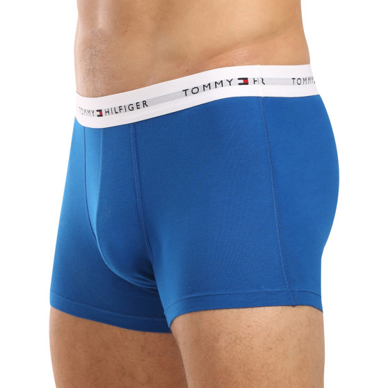 3PACK Boxershorts för herrar Tommy Hilfiger multicolour (UM0UM02761 0UE)