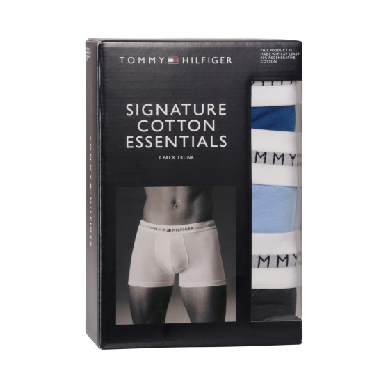 3PACK Boxershorts för herrar Tommy Hilfiger multicolour (UM0UM02761 0UE)