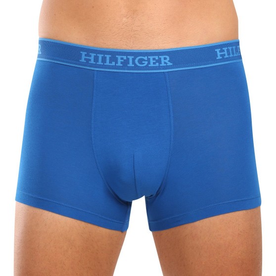 3PACK Boxershorts för herrar Tommy Hilfiger multicolour (UM0UM03413 0XW)