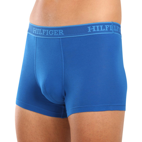 3PACK Boxershorts för herrar Tommy Hilfiger multicolour (UM0UM03413 0XW)