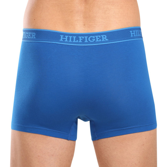 3PACK Boxershorts för herrar Tommy Hilfiger multicolour (UM0UM03413 0XW)