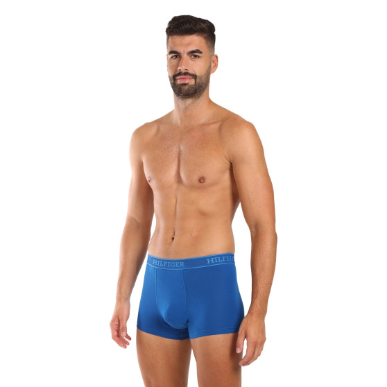 3PACK Boxershorts för herrar Tommy Hilfiger multicolour (UM0UM03413 0XW)