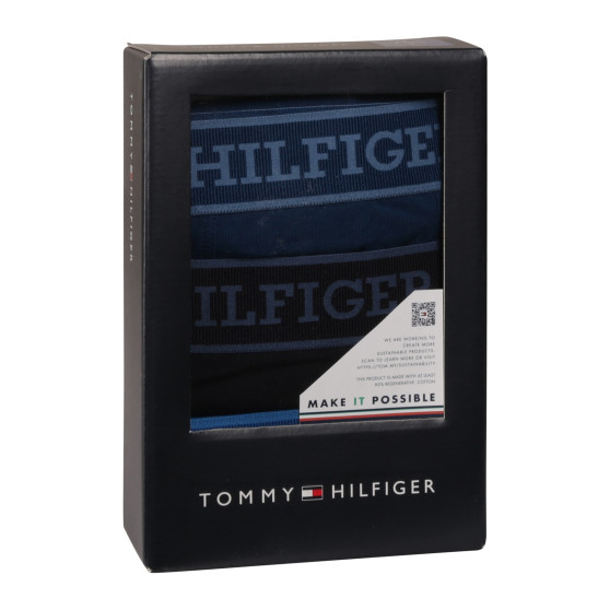 3PACK Boxershorts för herrar Tommy Hilfiger multicolour (UM0UM03413 0XW)