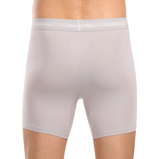 3PACK Boxershorts för herrar Calvin Klein multicolour (NB1770A-QRH)