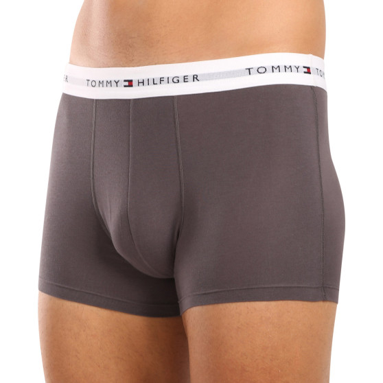 3PACK Boxershorts för herrar Tommy Hilfiger multicolour (UM0UM02761 0UI)