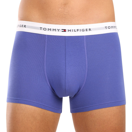 3PACK Boxershorts för herrar Tommy Hilfiger multicolour (UM0UM02761 0UI)