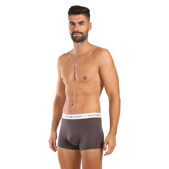 3PACK Boxershorts för herrar Tommy Hilfiger multicolour (UM0UM02761 0UI)