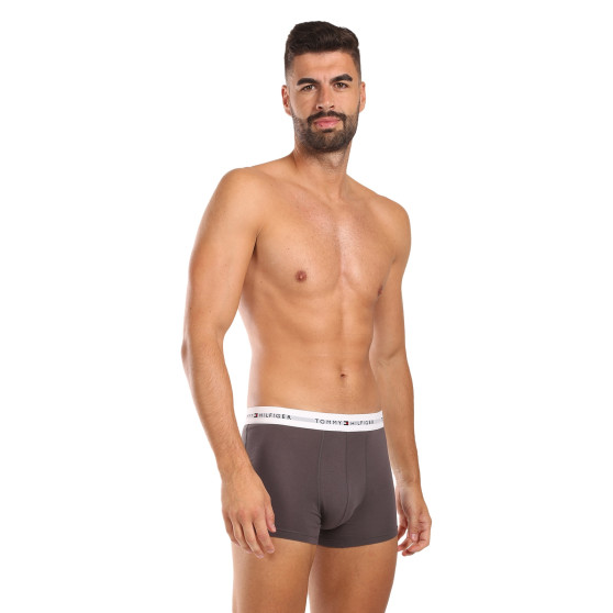 3PACK Boxershorts för herrar Tommy Hilfiger multicolour (UM0UM02761 0UI)