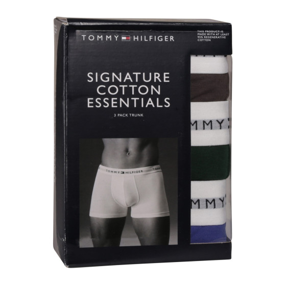 3PACK Boxershorts för herrar Tommy Hilfiger multicolour (UM0UM02761 0UI)