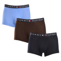 3PACK Boxershorts för herrar Tommy Hilfiger multicolour (UM0UM03180 0X0)