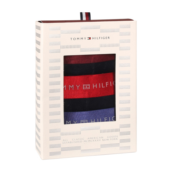 3PACK Boxershorts för herrar Tommy Hilfiger svart (UM0UM03411 0WP)