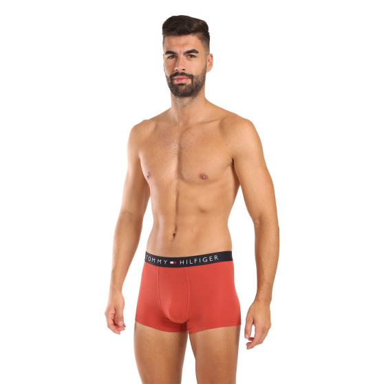 3PACK Boxershorts för herrar Tommy Hilfiger multicolour (UM0UM03180 0RW)